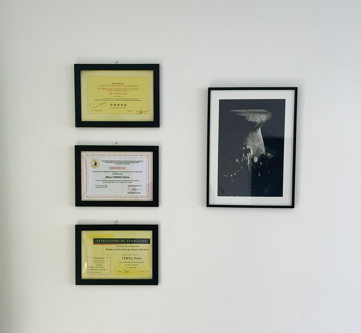 Diplôme Petra Cerna